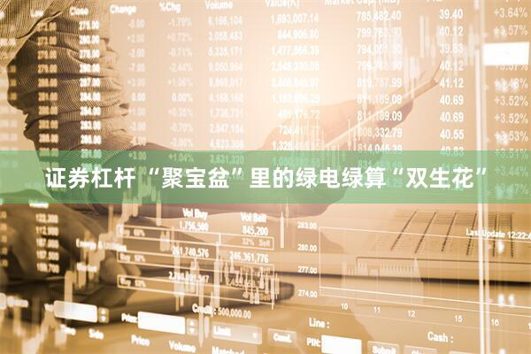 证券杠杆 “聚宝盆”里的绿电绿算“双生花”