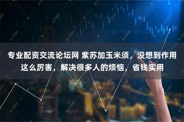 专业配资交流论坛网 紫苏加玉米须，没想到作用这么厉害，解决很多人的烦恼，省钱实用
